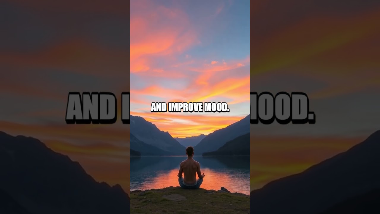 The Impact of Nature Walks on Mental Well-Being and Productivity