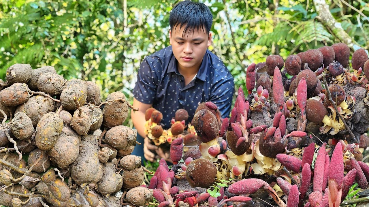 Lucky bowl, little known herbs, Trieu Kha sold for high price to improve life