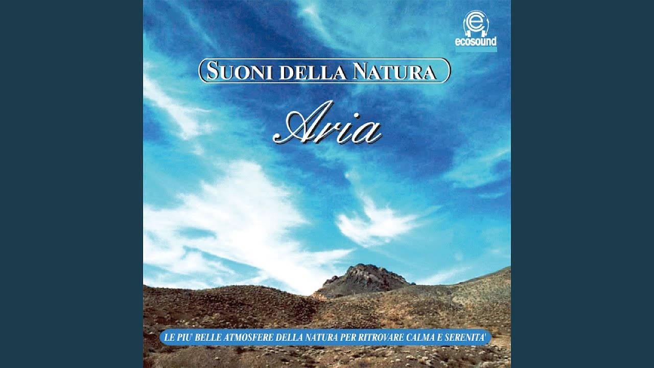 Il canto dell'aria