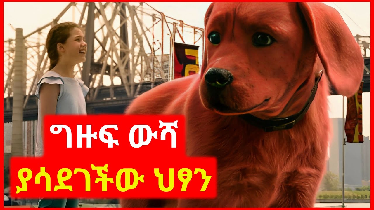 🔴 ቤቷ ውስጥ ግዙፍ ቀይ ውሻ ያሳደገችው ህፃን | Kokeb Film - ኮከብ ፊልም