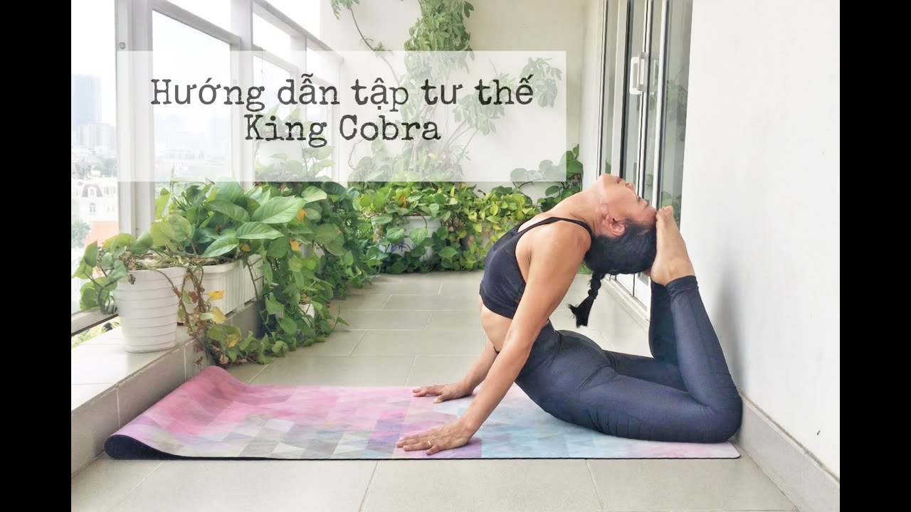 Hướng dẫn tập tư thế King Cobra | Rắn hổ mang chân chạm đầu | Nhu Grado