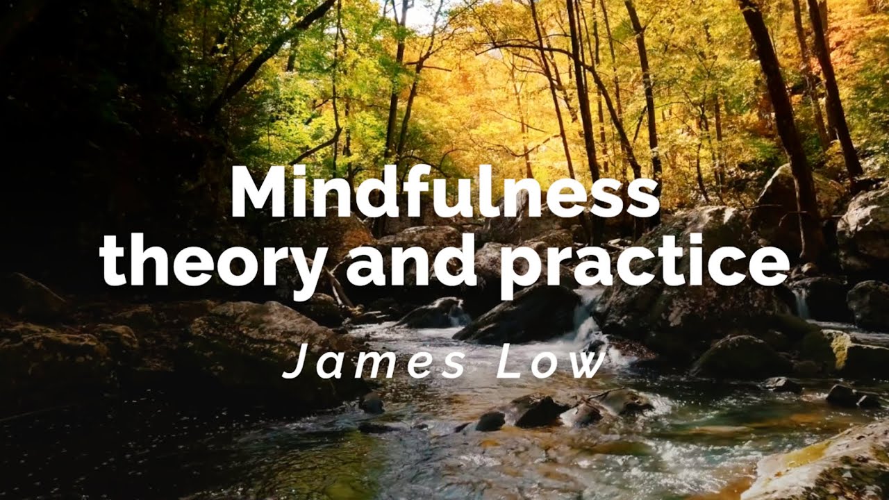 Mindfulness: theory and practice. Warsaw 11.2008