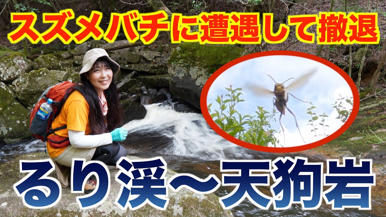 【京都府】るり渓（鳴瀑から通天湖）天狗岩に登ろうとしたらスズメ蜂が居て撤退💦