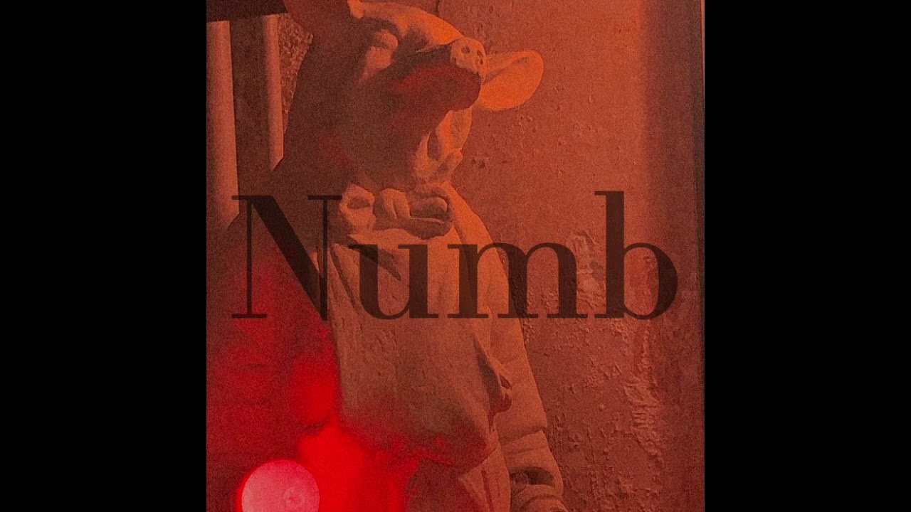 Numb [FREE FOR PROFIT] Rels b x juice wrld type beat