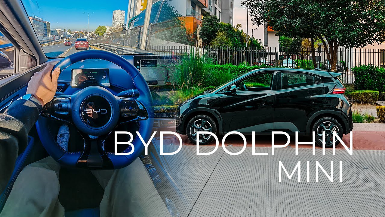 BYD DOLPHIN MINI | Después de un año