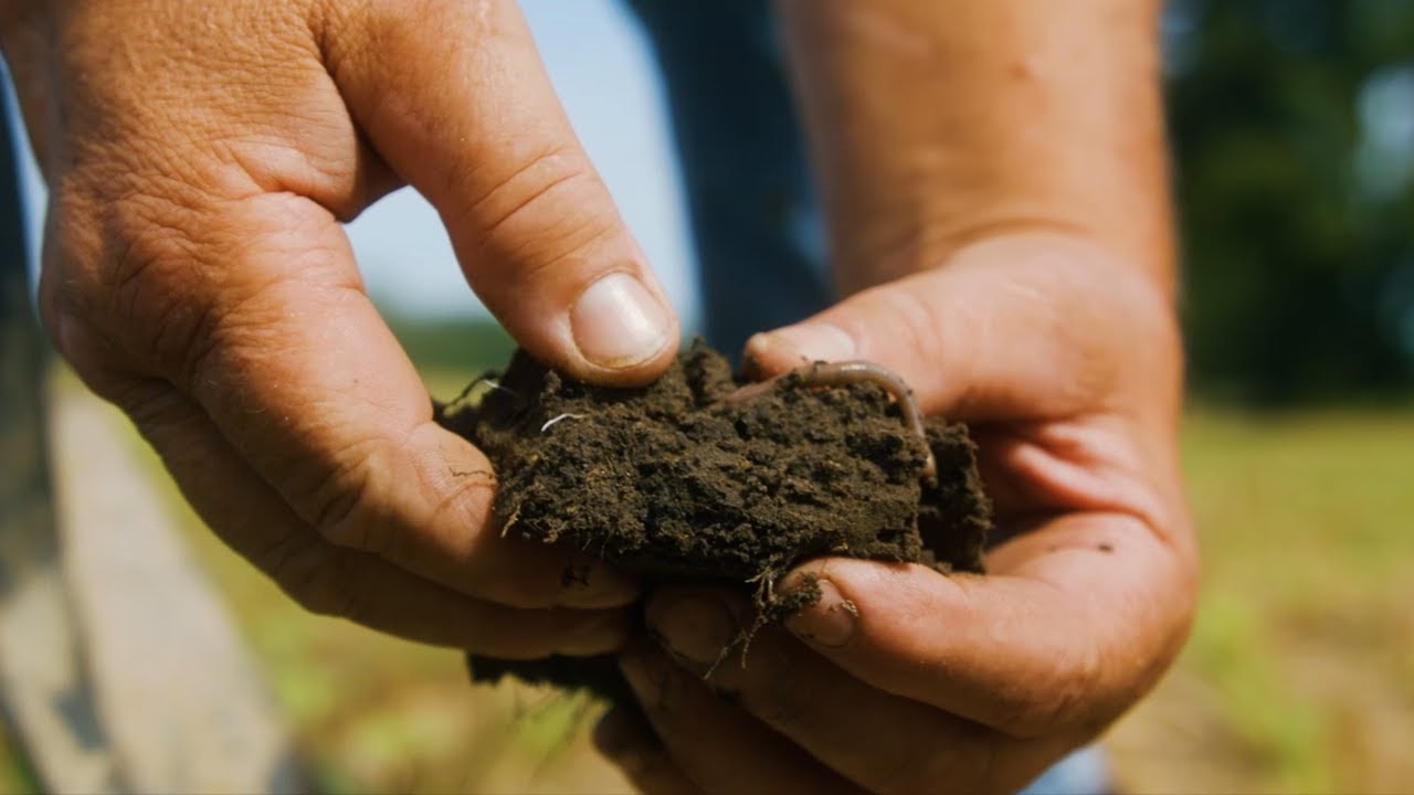 Wabash River: Growing Clean Water