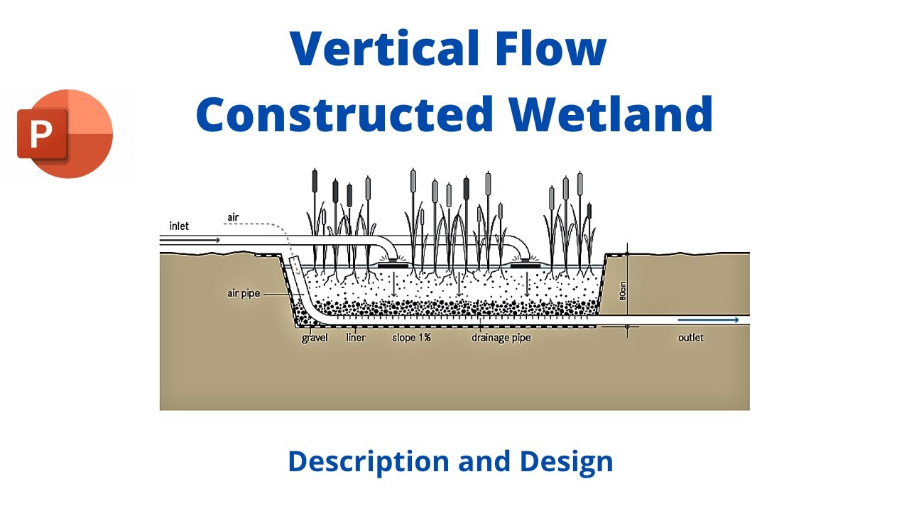 How does Vertical Flow Wetlands Work? II Description and Design of VFCW for Wastewater Treatment