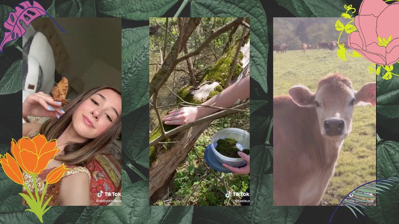 Cottagecore TikToks to show your friends and lovers to convince them to move to the Shire with you