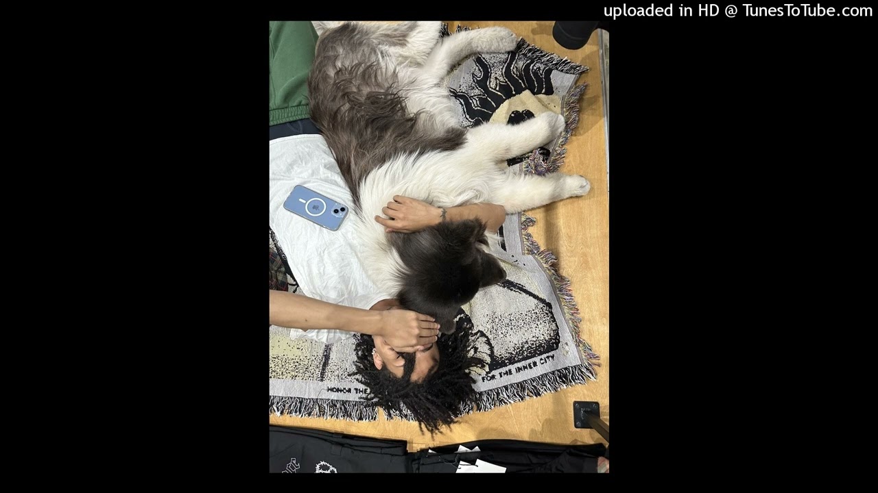 prodnoxh x tomcbumpz beat -  