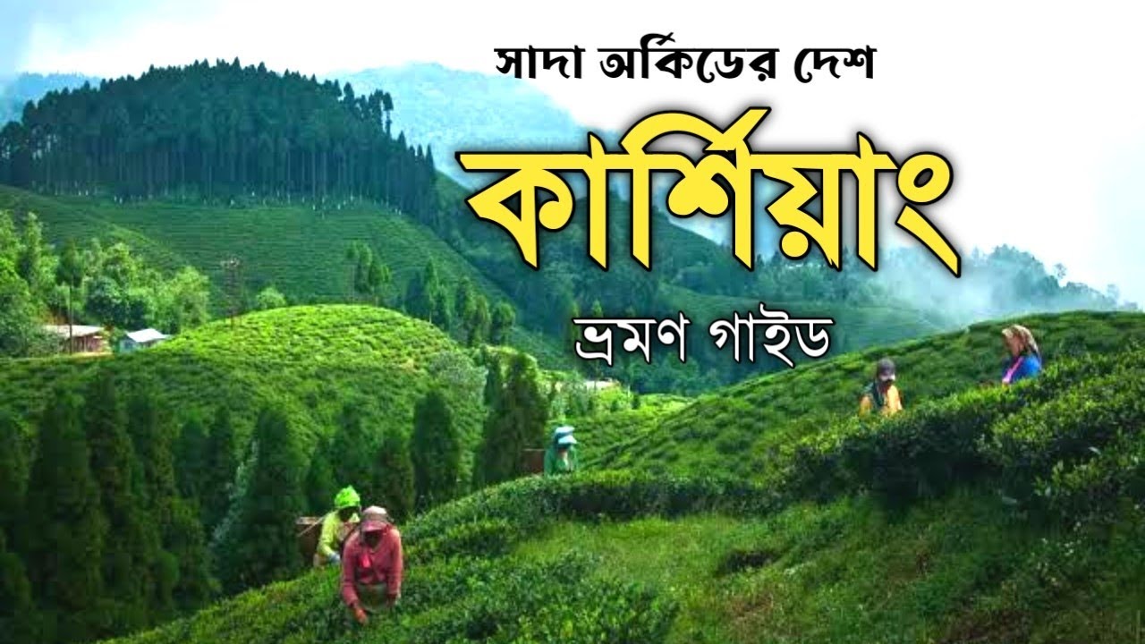 Kurseong Tour Plan || কার্শিয়াং ভ্রমণ গাইড।