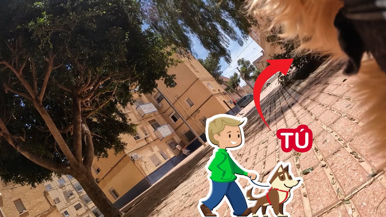 ASMR en Espa&ntilde;ol 🐶 RP ❤️ Eres un perro y te paseo 🐕🚶