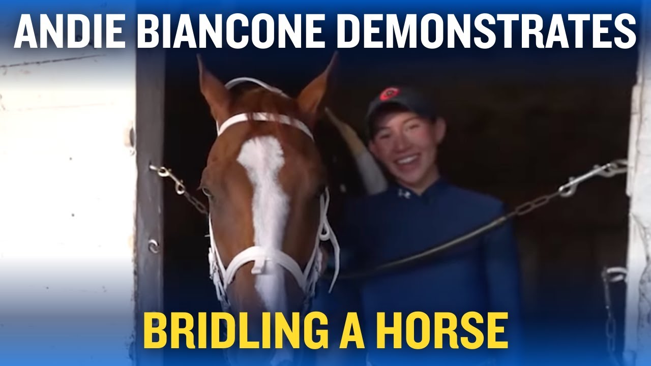 Andie Biancone Shows How To Bridle A Horse