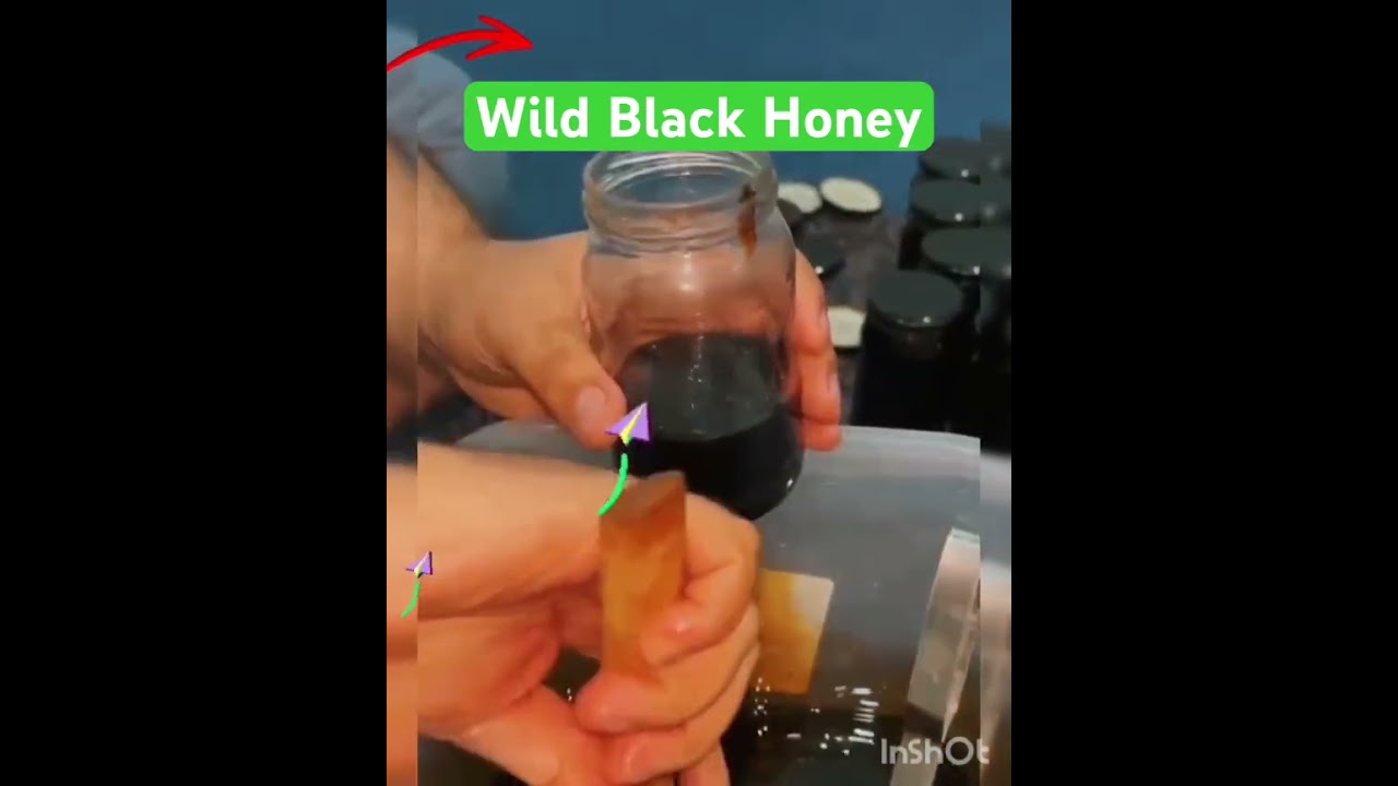 Wild black honey 