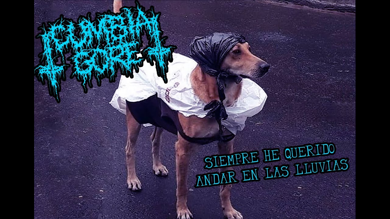 Cumbia Gore - Siempre He Querido Andar En Las Lluvias (Groovy Goregrind)