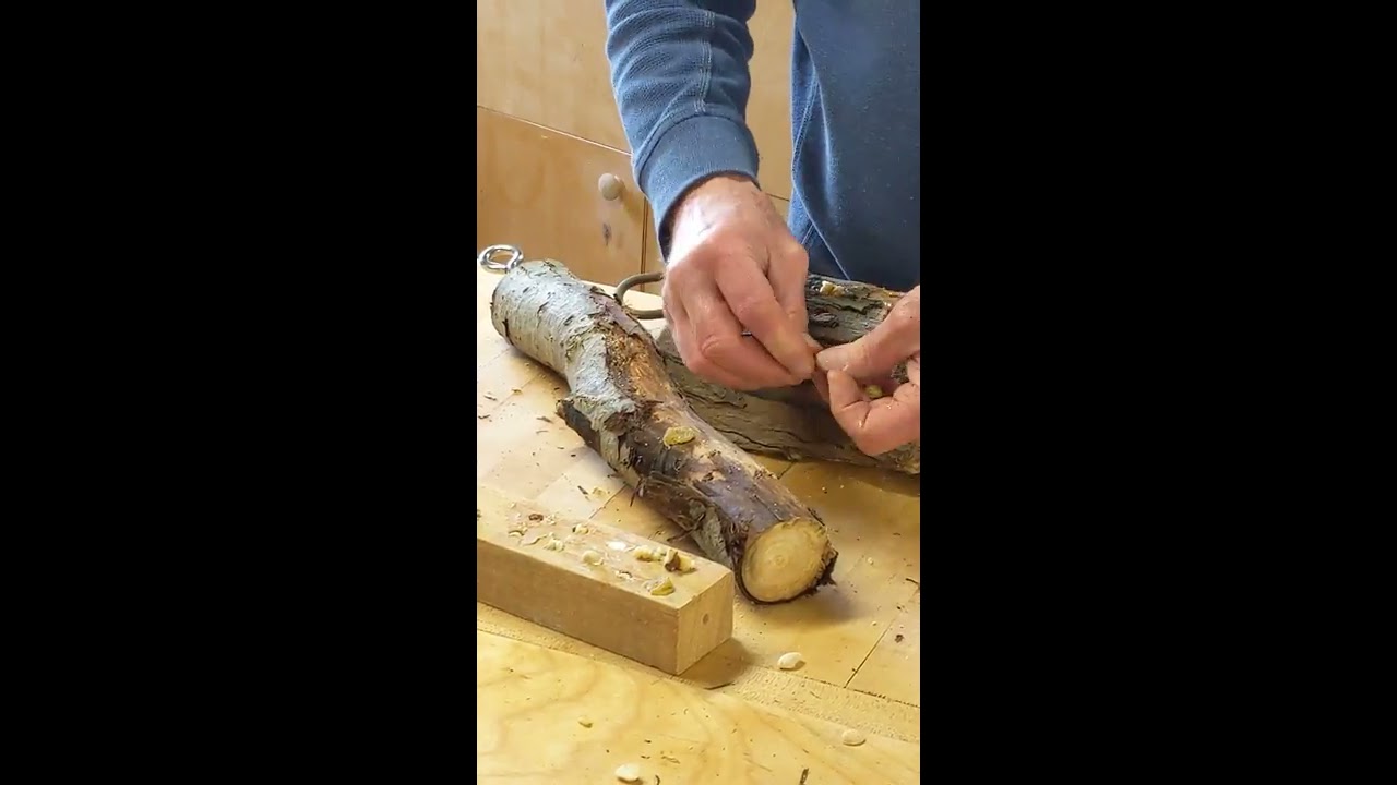 DIY Woodpecker Feeder. Make your own! Hosted by our executive director, Jim