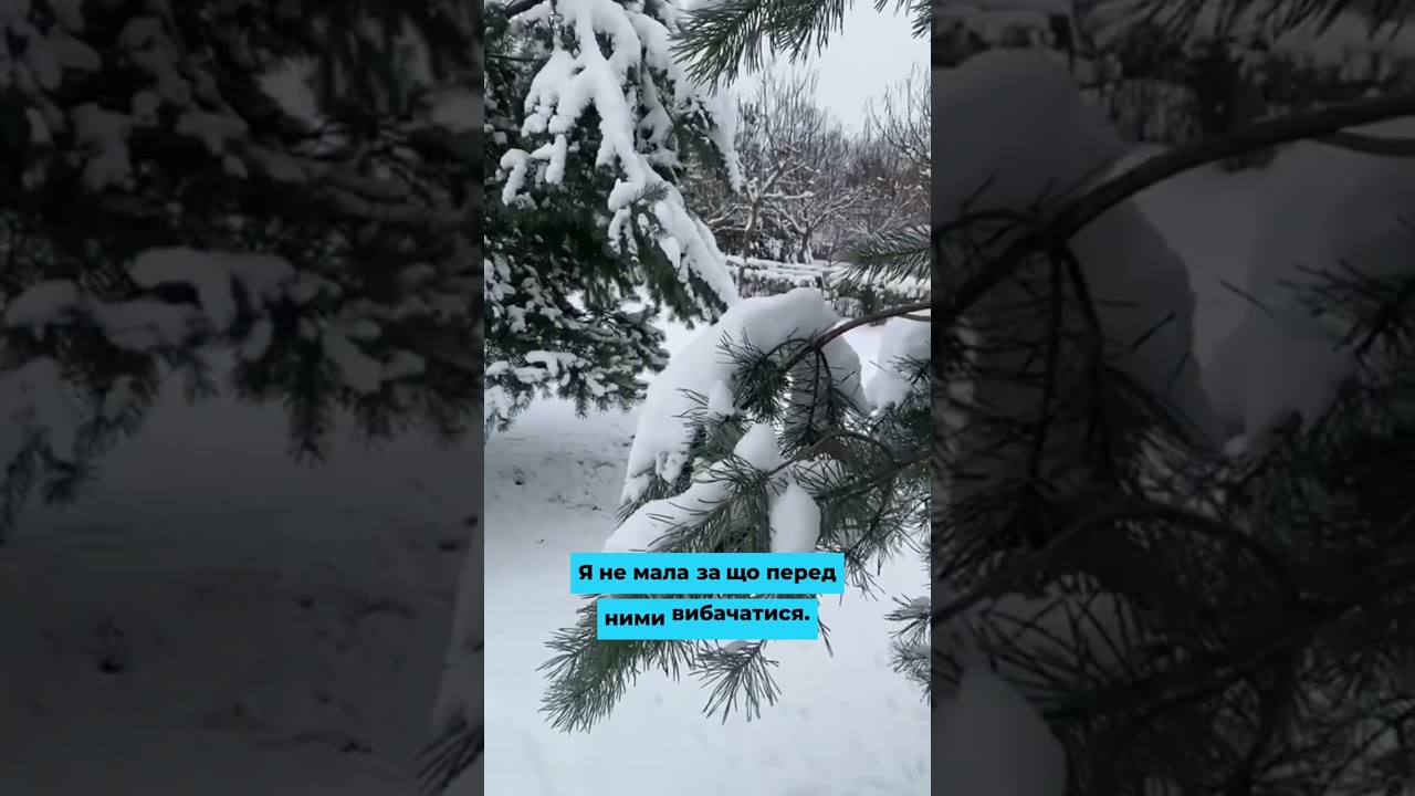 Не стала своєю