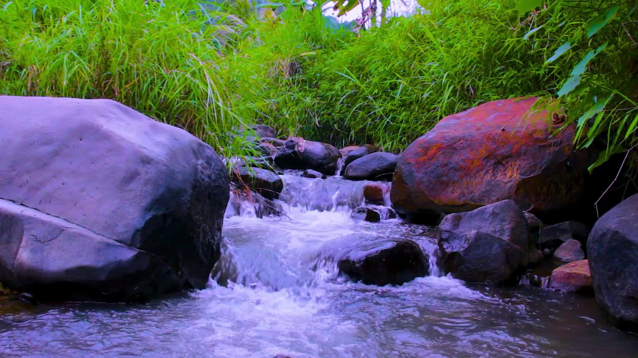 Continuous Mountain River Water Sounds to Help You Sleep Deeply All Night Long