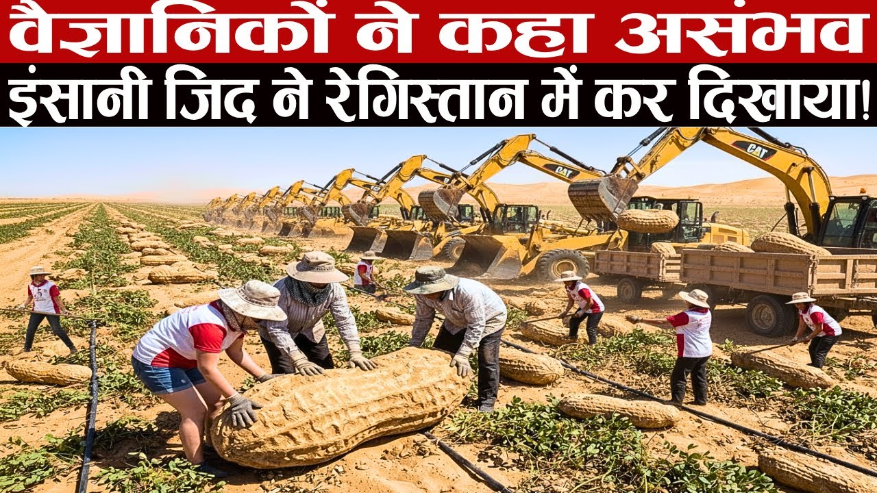इंसानी ज़िद ने रेगिस्तान को हिला डाला, उगा दिया रेगिस्तान में ये, चौंक गए वैज्ञानिक भी !
