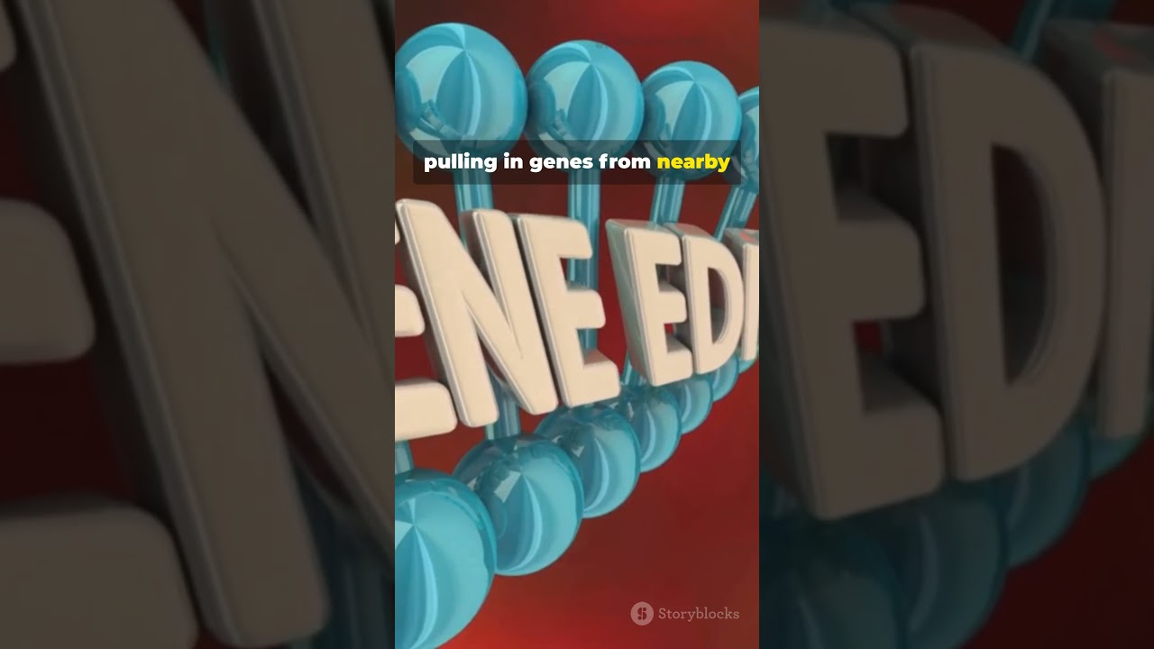 Animals That Reproduce With ZERO Sex?! 