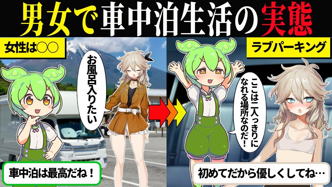 男と女で車中泊をするとどうなるのか？【ずんだもん＆ゆっくり解説】