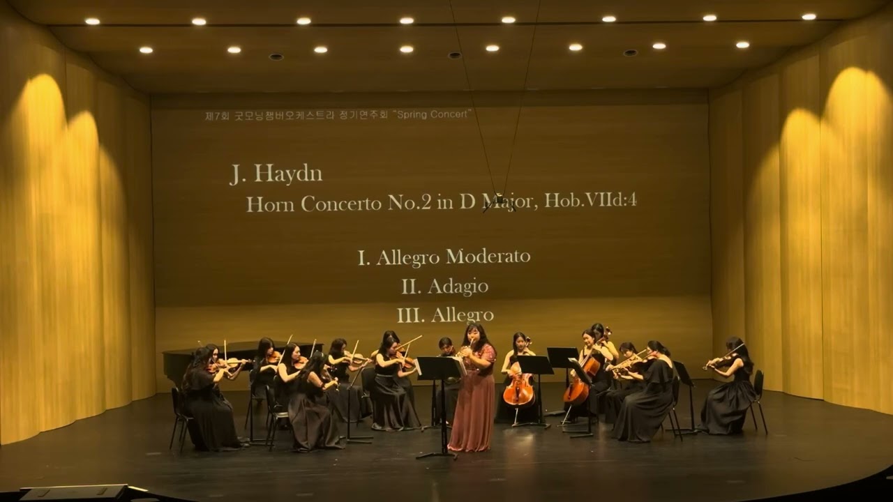 W A Mozart Concerto for Horn No 2