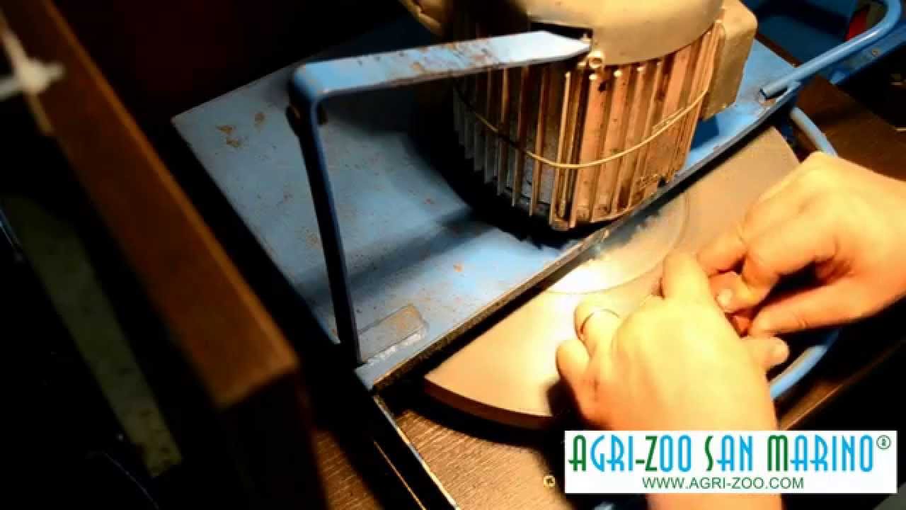 Affilatura pettini e testine per tosatrici