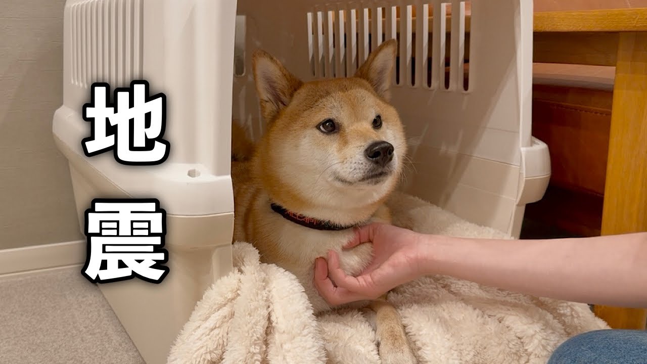 突然の地震に騒然としました…