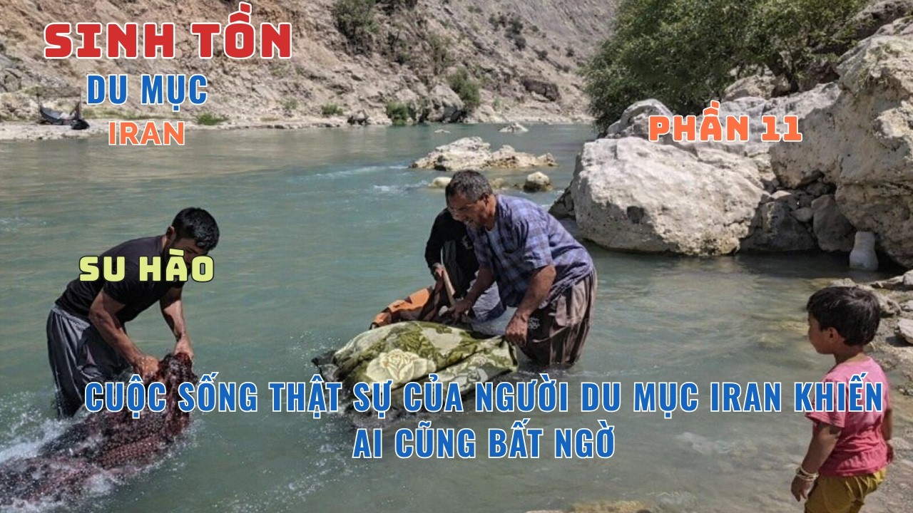P11: Cuộc Sống Du Mục: Một Ngày Lao Động Của Gia Đình Du Mục Trên Núi Iran
