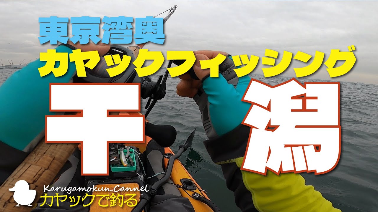 【東京湾】秋の恒例　シーバスゲーム【干潟】