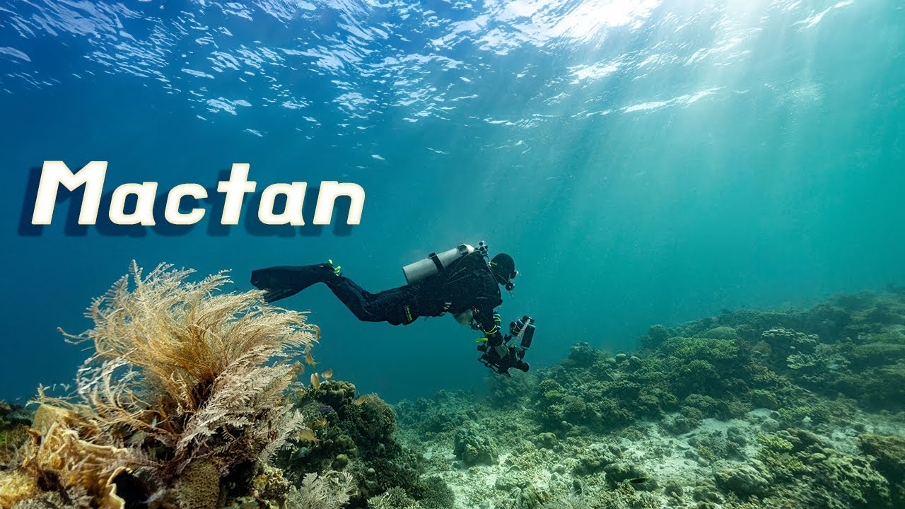 [4K] 오픈워터 시절엔 절대 몰랐던 막탄섬의 비밀 | 인투블세부 | Mactan