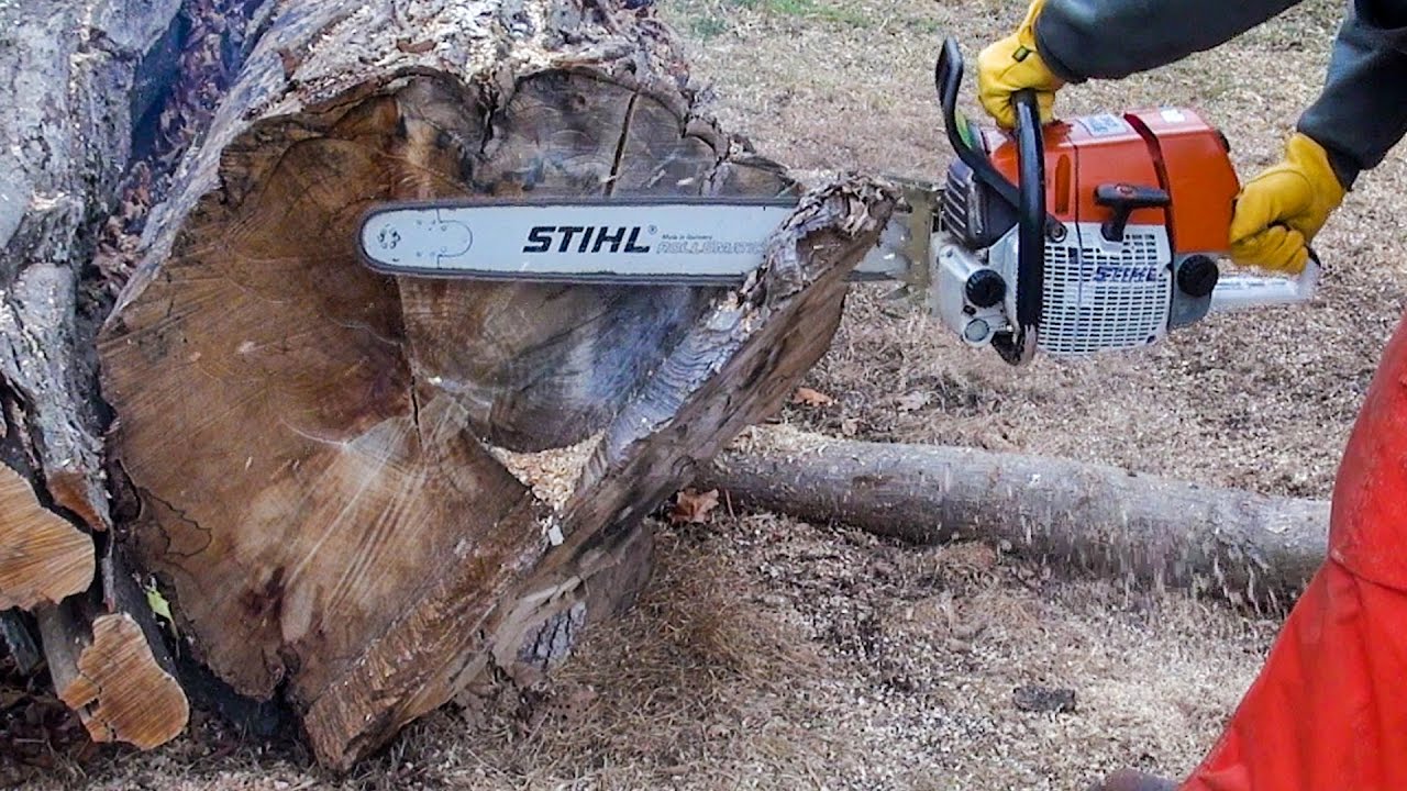 CHAINSAW CUTTIN' BIG WOOD - WOOD CUTTING