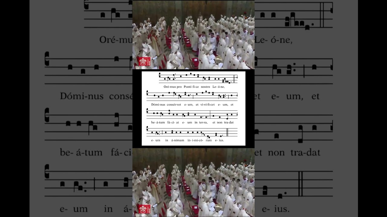 Oremus pro Pontifice nostro Leone!
