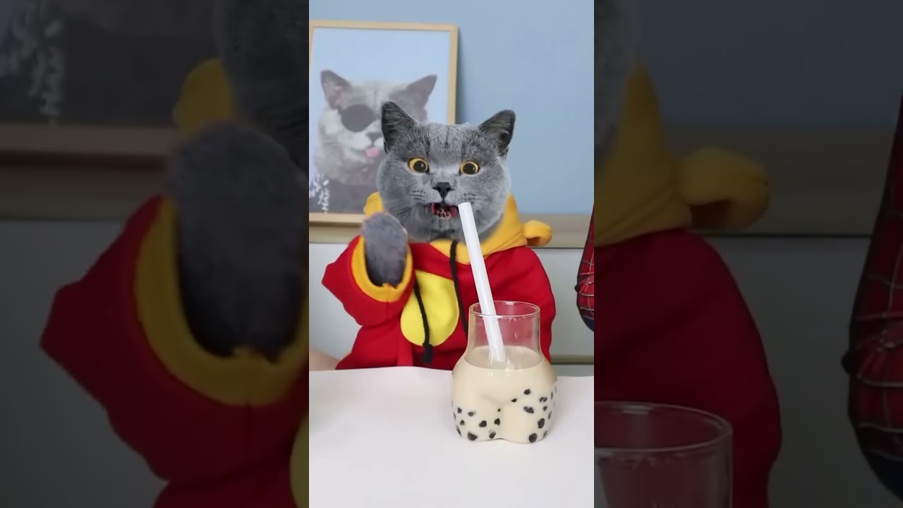 Special Drinks Will Drive You Crazy!💫 