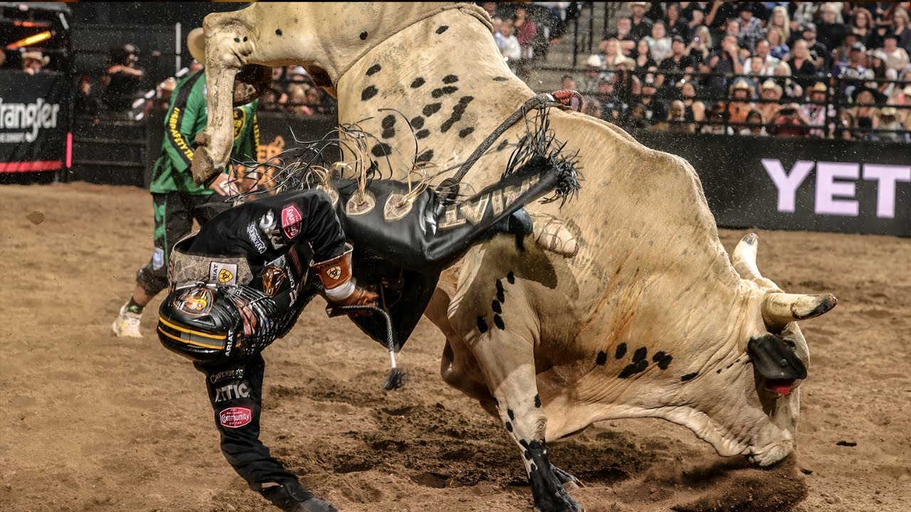 Thrills and Spills: Top Bull Riding Wrecks of August 2023