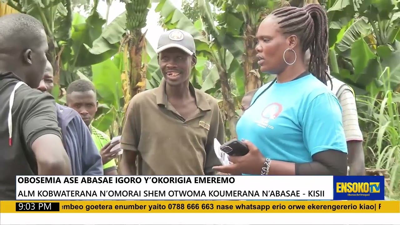 OBOSEMIA ASE ABASAE IGORO Y’OKORIGIA EMEREMO