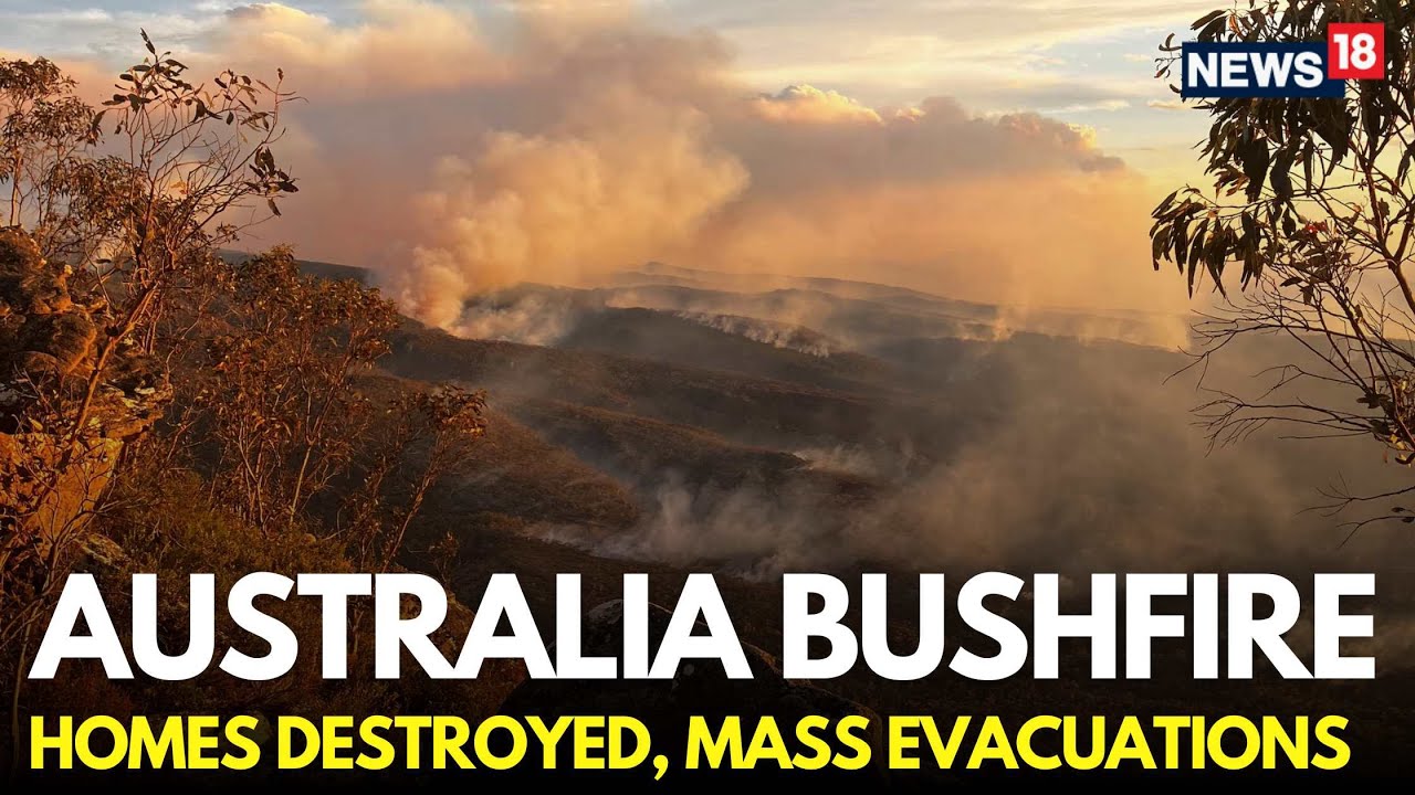 Australia Bushfires LIVE | Authorities Urge Thousands To Flee New South Wales Bushfires | N18G
