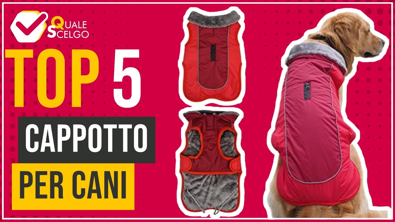 Cappotto per cani - Top 5 - (QualeScelgo)