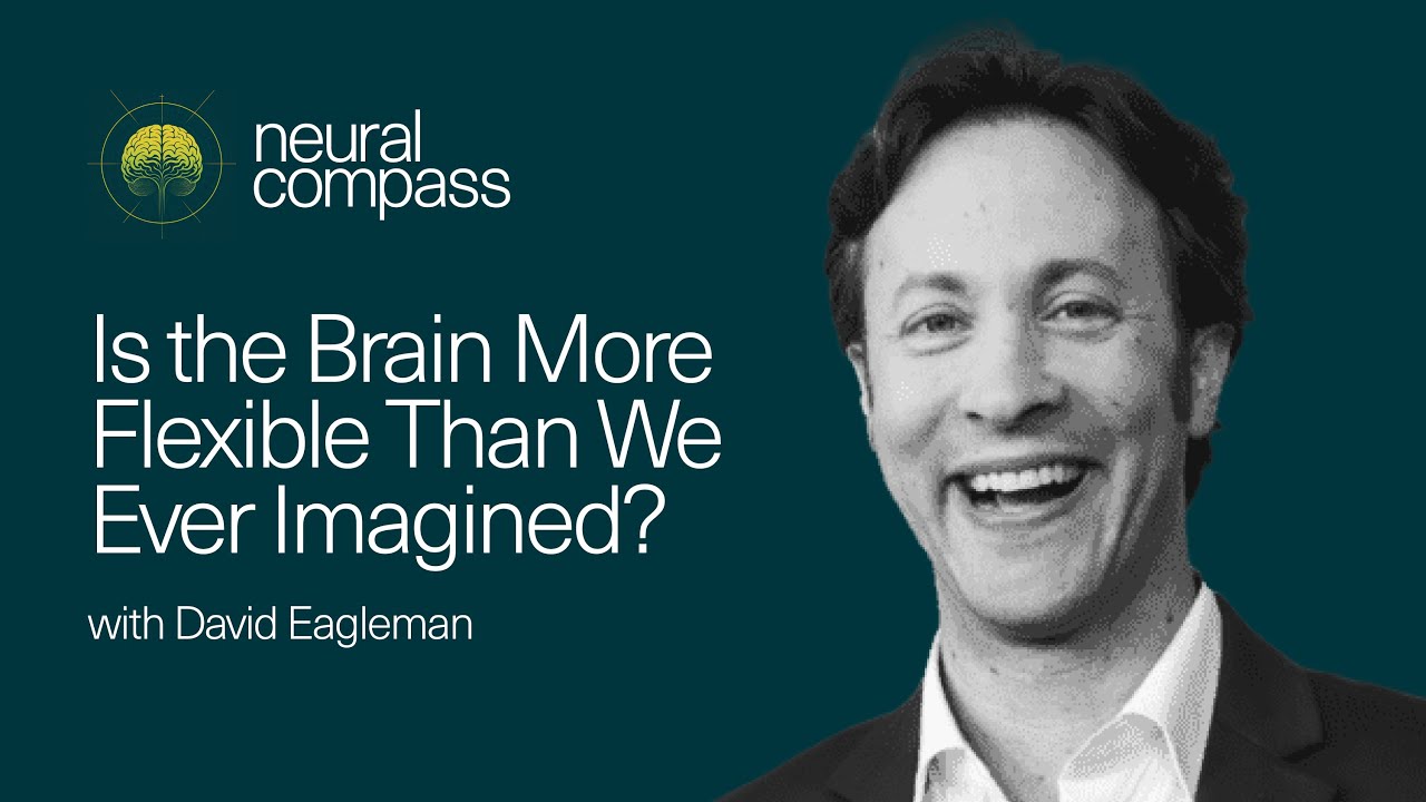 Is the Brain More Flexible Than We Ever Imagined? with David Eagleman