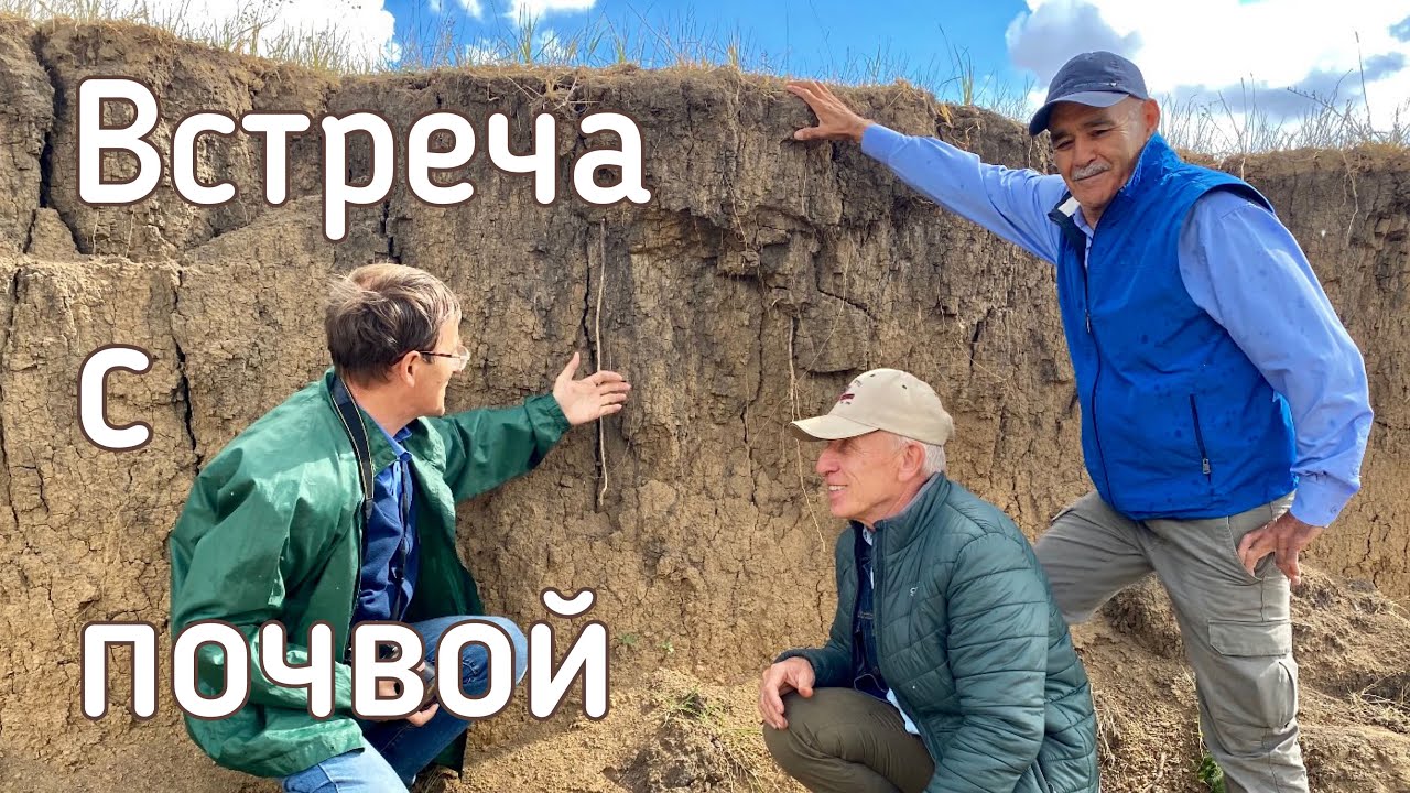 Разрез целинной почвы