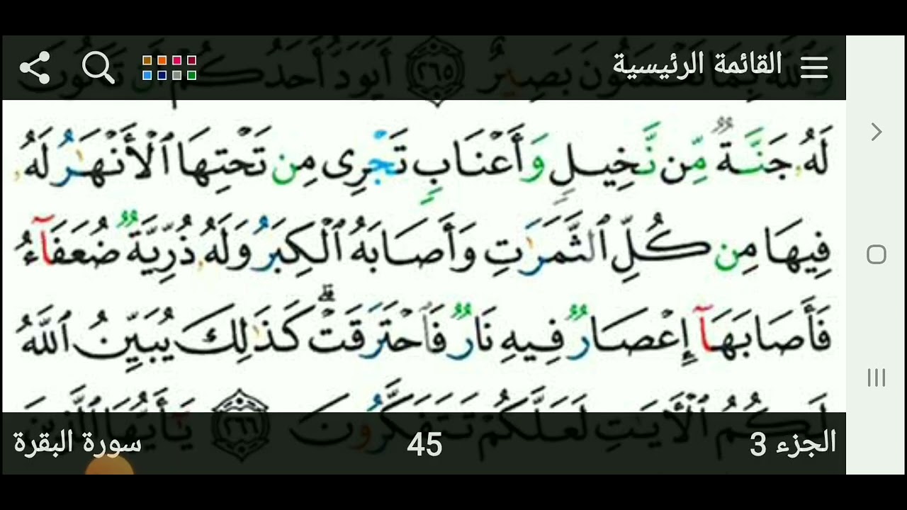 سورة البقرة من ٢٦٥حتي٢٦٦