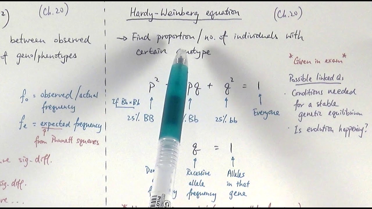 Maths in Biology - A2