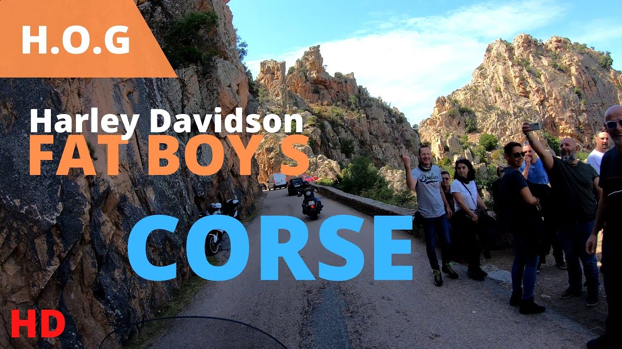 HOG Harley Fat Boy S CORSE