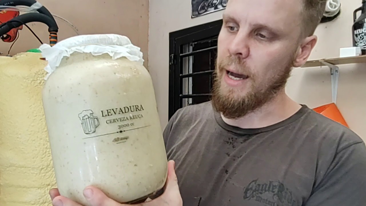 Reutilización de levadura para Cerveza artesanal