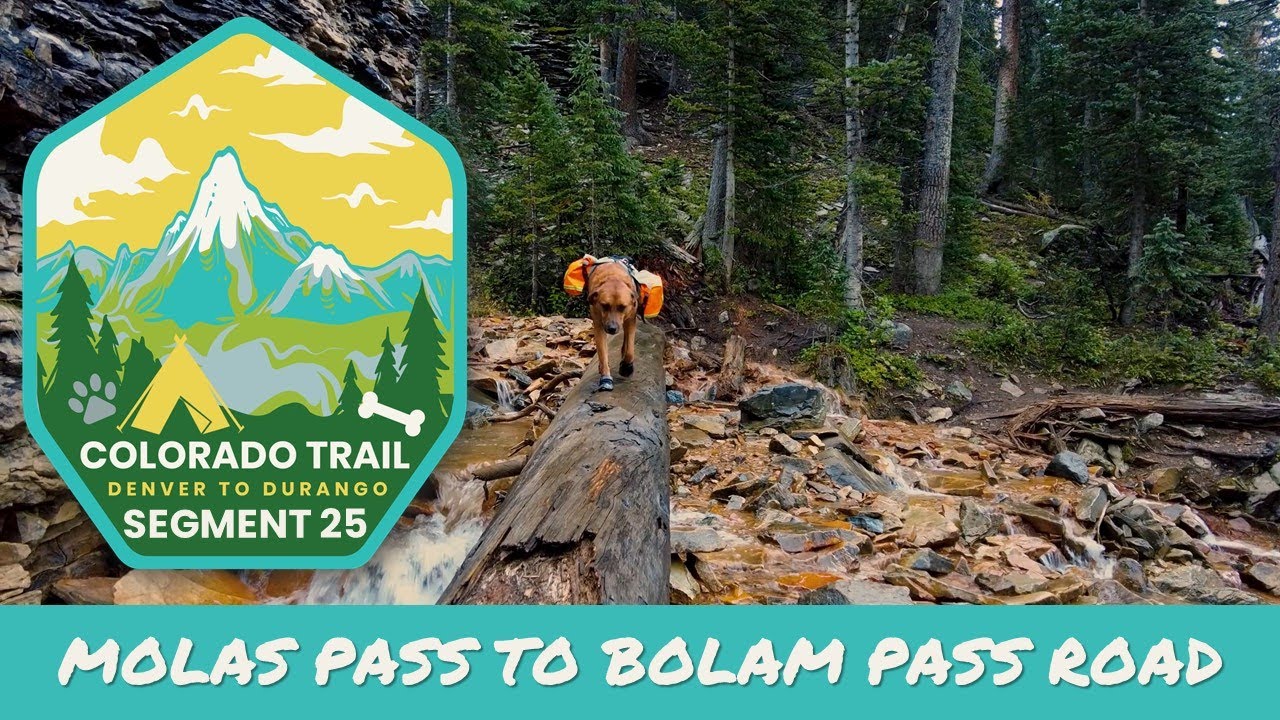 Solo Hiking the COLORADO TRAIL with My Dog | Segment 25 | Molas Pass to Bolam Pass Road