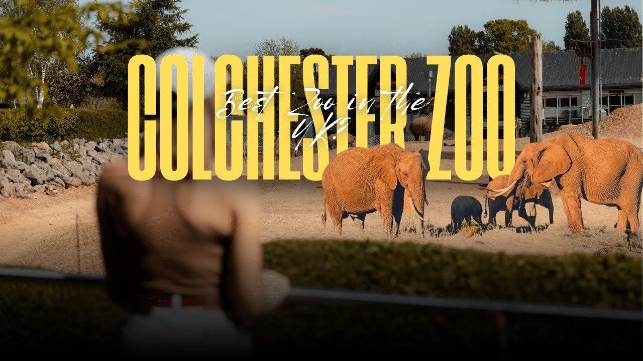 Is This the Best Zoo in the UK? | Colchester Zoo Cinematic Vlog | SONY A7C II
