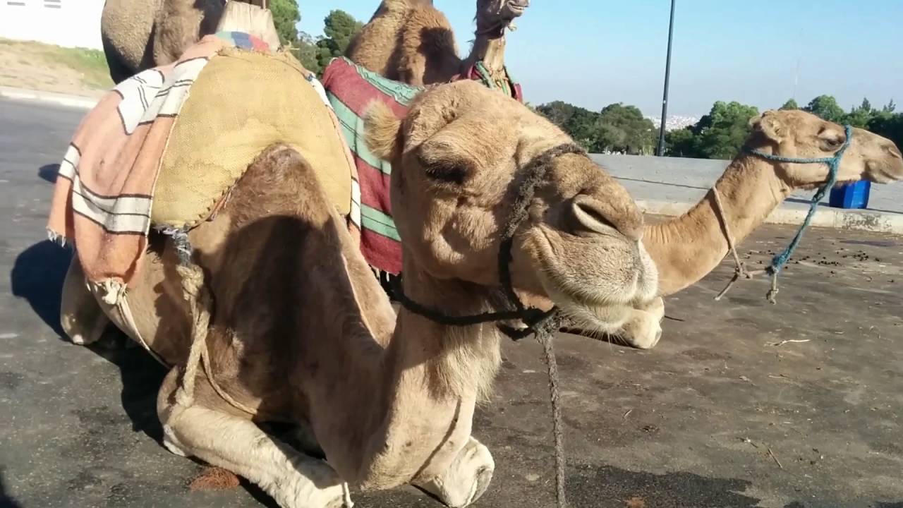 Iberian Adventure August 2016