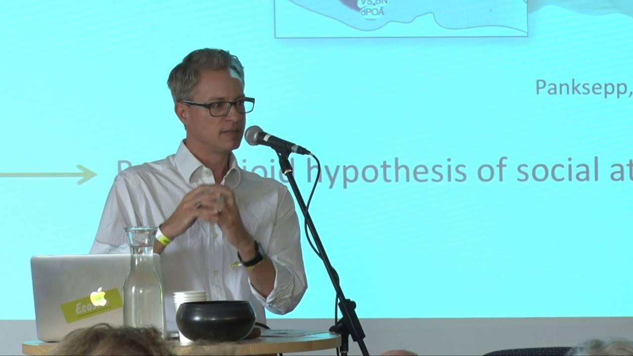 Entheo-Science/Ansgar Rougemont-B&uuml;cking Der Lebenszyklus und das endogene Opiatsystem