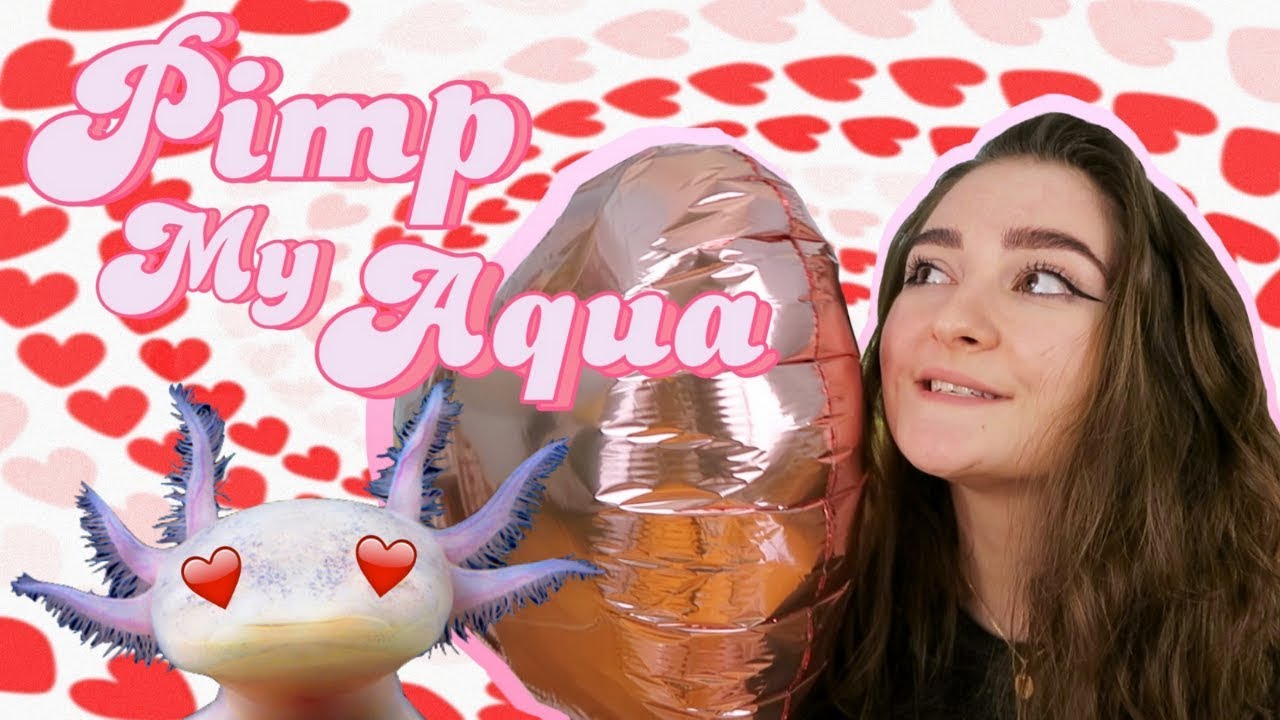 JE PIMPE SON AQUARIUM POUR LA ST VALENTIN