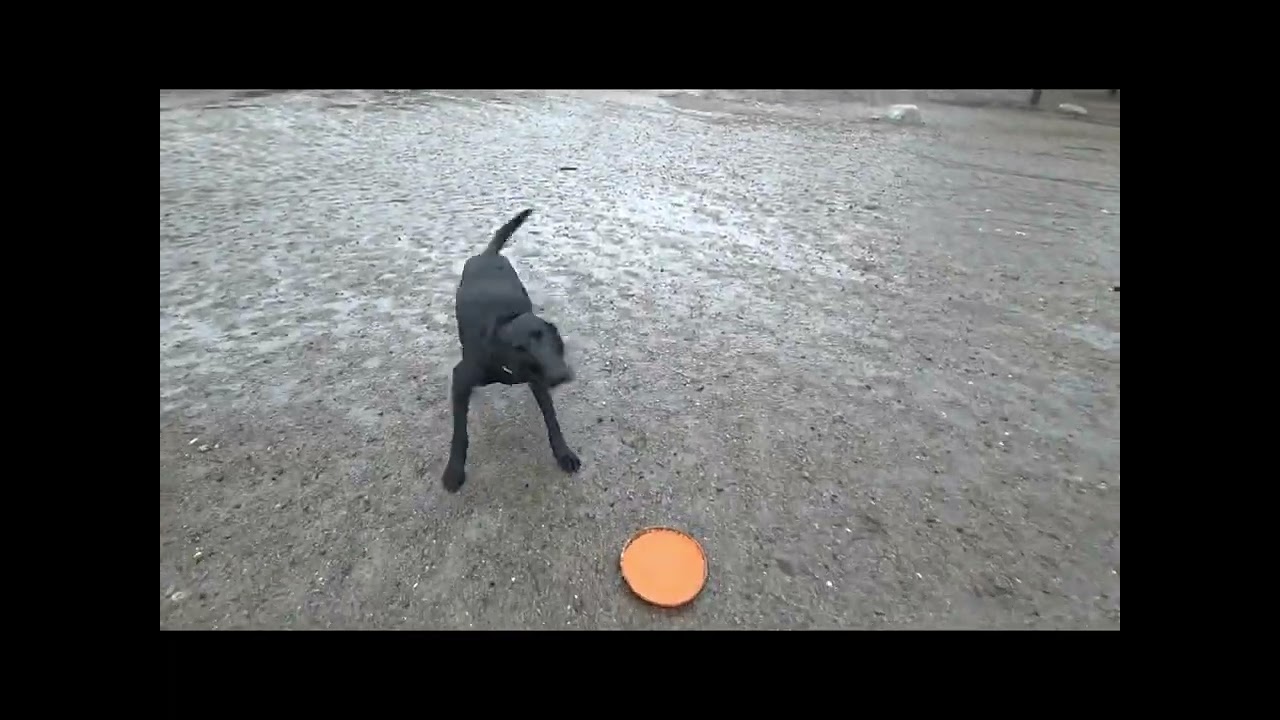 Hero living his best life