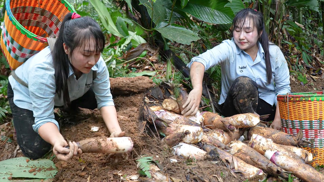 Harvesting Giant Bitter Bamboo Shoots: Early Season Foraging Journey to the Busy Morning Market